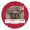 Red Suede Mat Board for 32x32 Frames - Circle Opening for 30x30 Photos